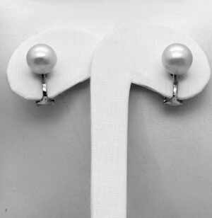 Alternative view of Harmony Duo